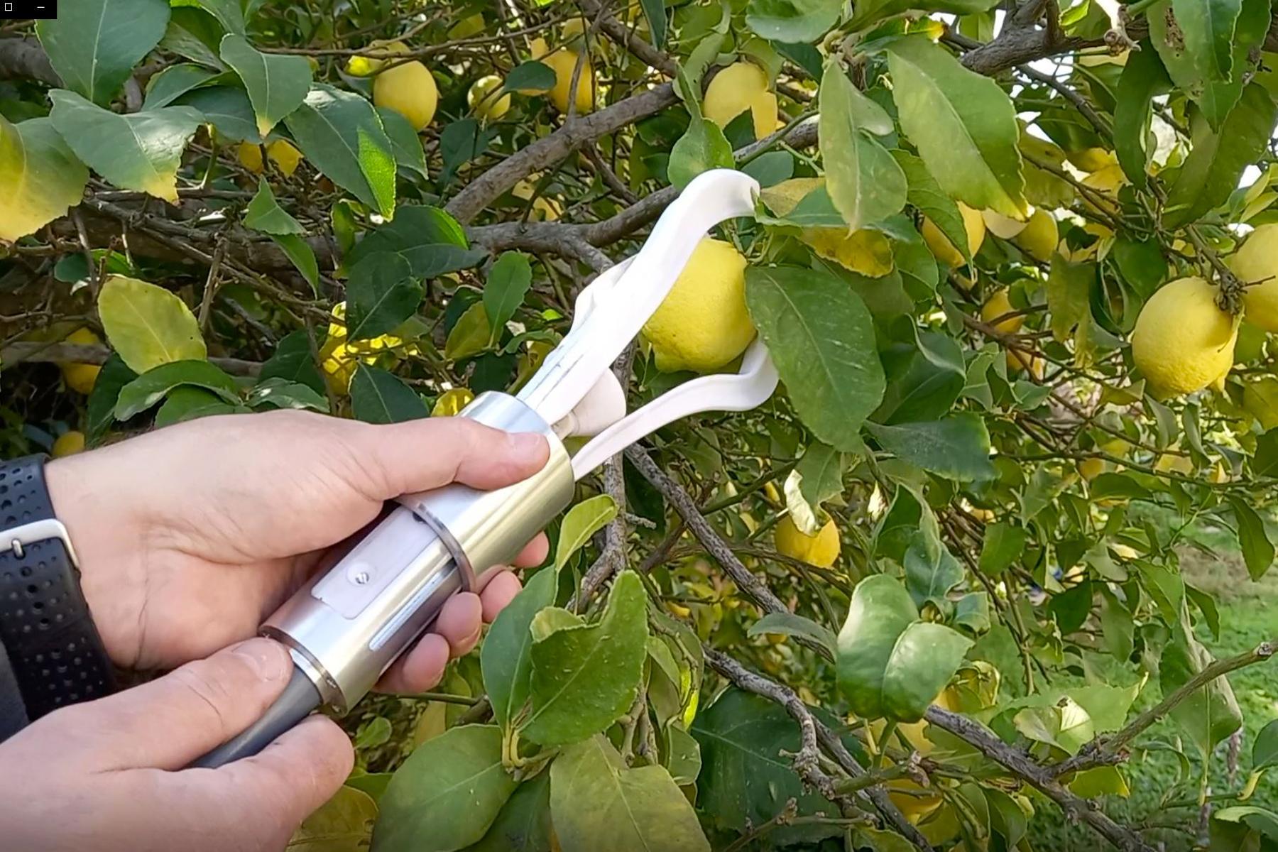 GRIPPER 6